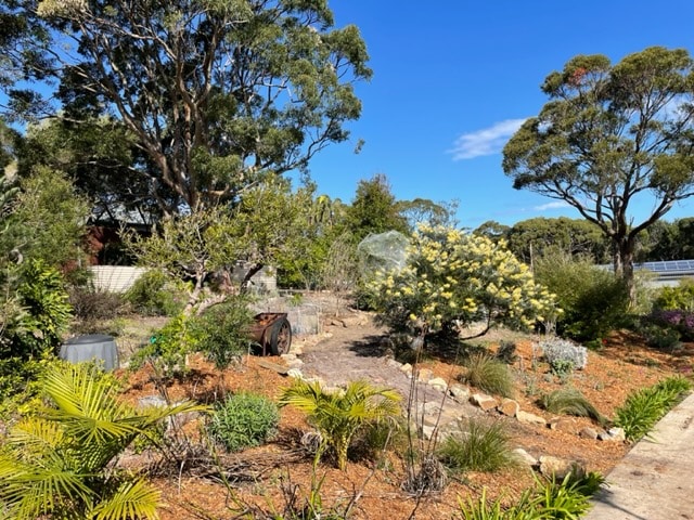 wide shot of a pathed garden with trees, shrubs and compost bin